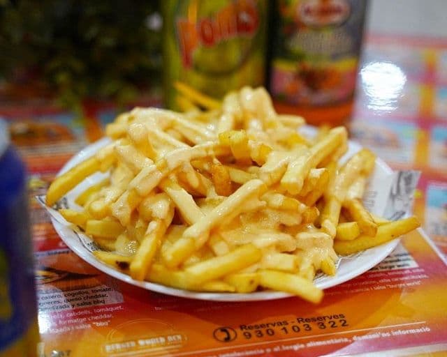 Burger World BCN - Cheesy fries starter
